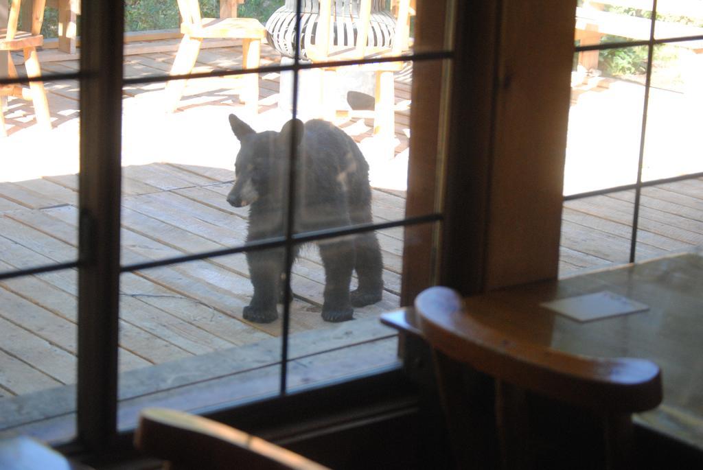 Medicine Bow Lodge Tenmile Kültér fotó