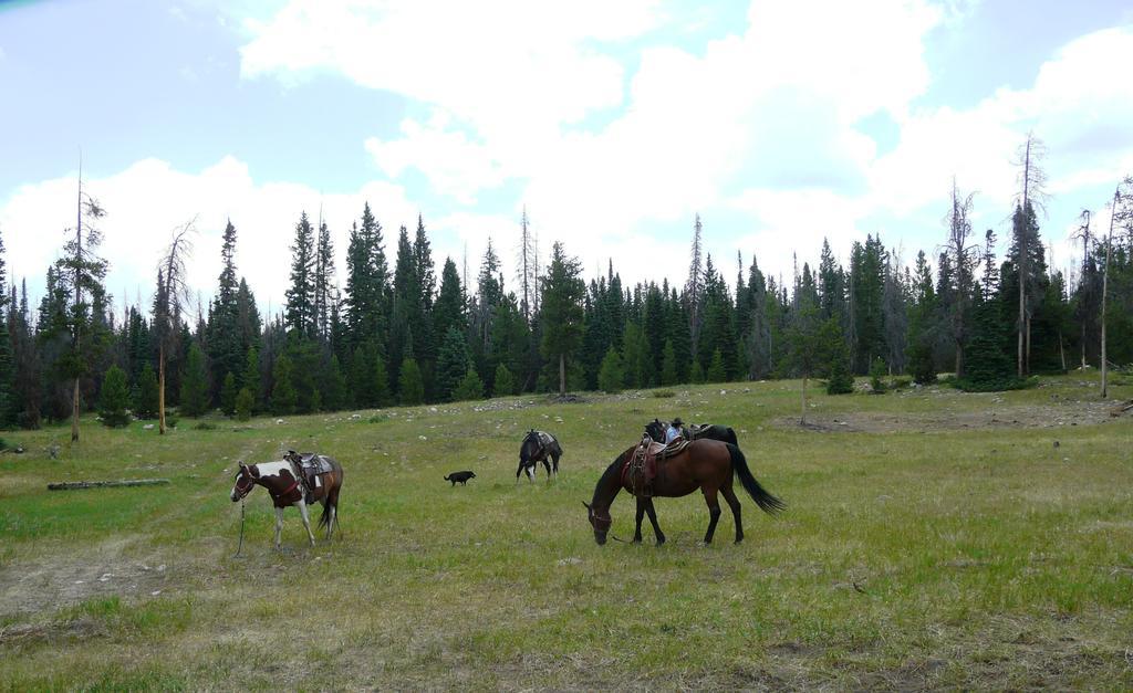 Medicine Bow Lodge Tenmile Kültér fotó
